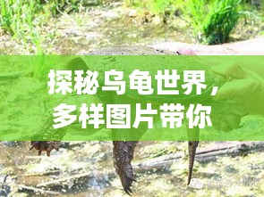 风华绝代 第2页