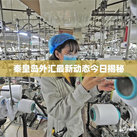 秦皇岛外汇最新动态今日揭秘
