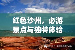 指李推张 第2页