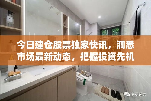 今日建仓股票独家快讯，洞悉市场最新动态，把握投资先机