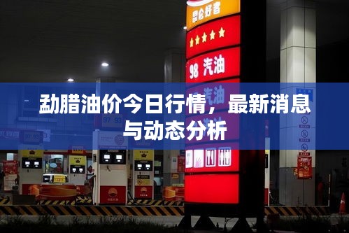 勐腊油价今日行情，最新消息与动态分析