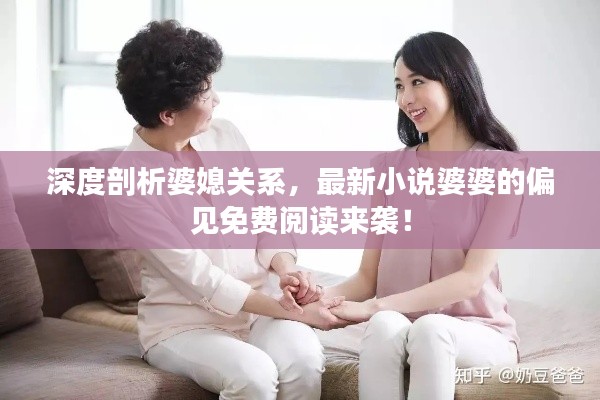 深度剖析婆媳关系，最新小说婆婆的偏见免费阅读来袭！