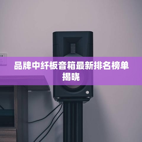 品牌中纤板音箱最新排名榜单揭晓