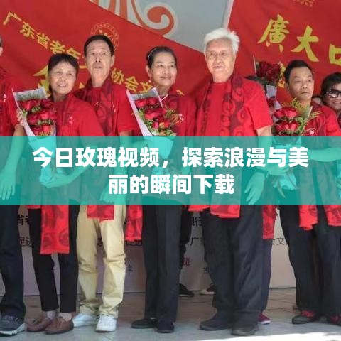 今日玫瑰视频，探索浪漫与美丽的瞬间下载