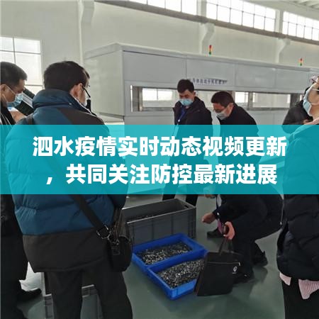 泗水疫情实时动态视频更新，共同关注防控最新进展