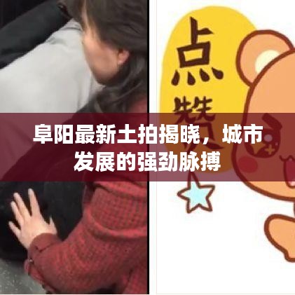 阜阳最新土拍揭晓，城市发展的强劲脉搏