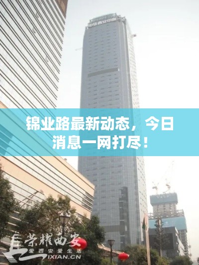 锦业路最新动态，今日消息一网打尽！