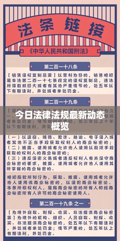 今日法律法规最新动态概览