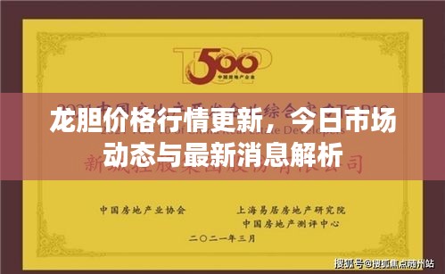 龙胆价格行情更新，今日市场动态与最新消息解析