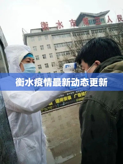衡水疫情最新动态更新