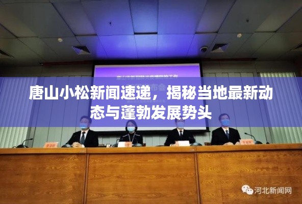 唐山小松新闻速递，揭秘当地最新动态与蓬勃发展势头