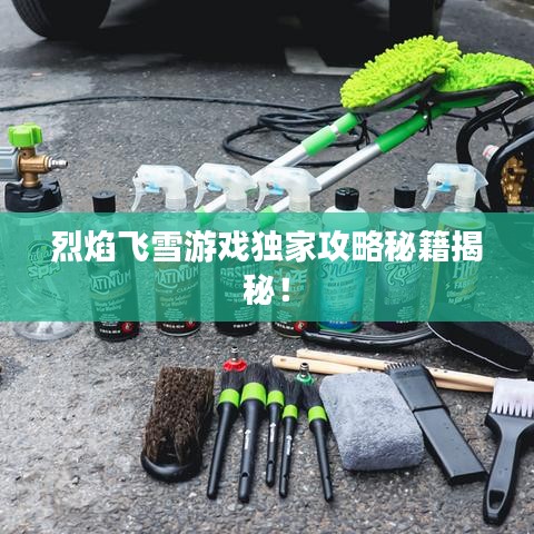 烈焰飞雪游戏独家攻略秘籍揭秘！
