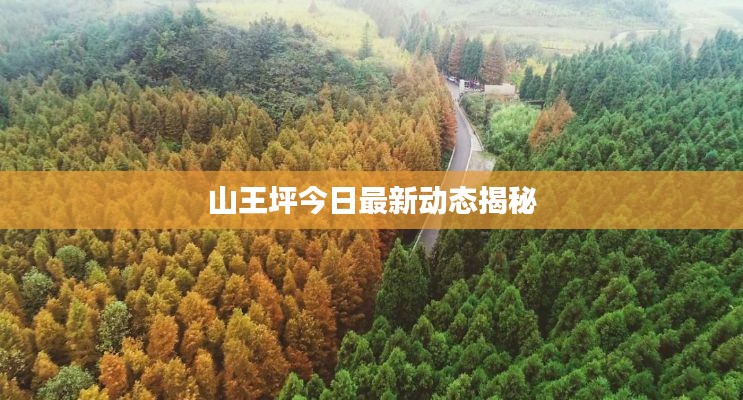 山王坪今日最新动态揭秘