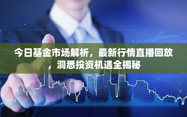 今日基金市场解析，最新行情直播回放，洞悉投资机遇全揭秘