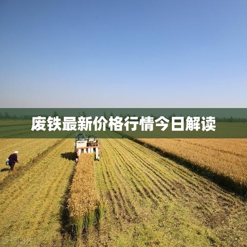 废铁最新价格行情今日解读