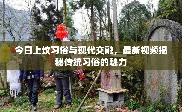 今日上坟习俗与现代交融，最新视频揭秘传统习俗的魅力