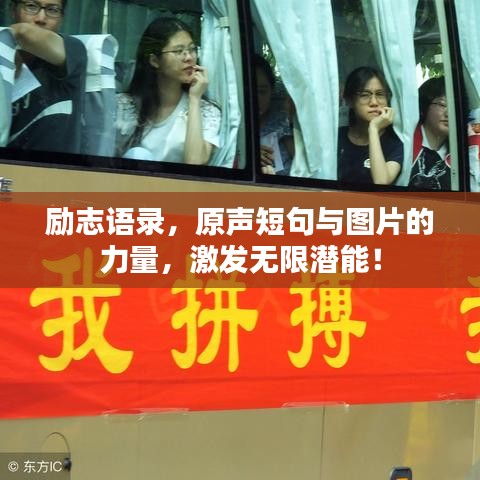 励志语录，原声短句与图片的力量，激发无限潜能！