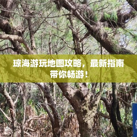 琼海游玩地图攻略，最新指南带你畅游！
