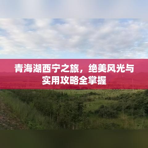 火伞高张 第2页