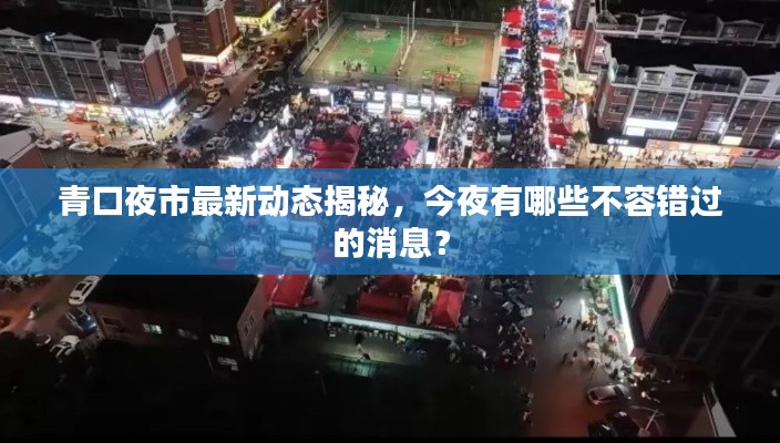 青口夜市最新动态揭秘，今夜有哪些不容错过的消息？