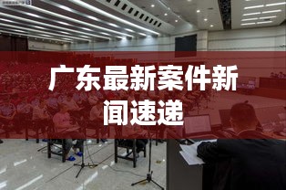 广东最新案件新闻速递
