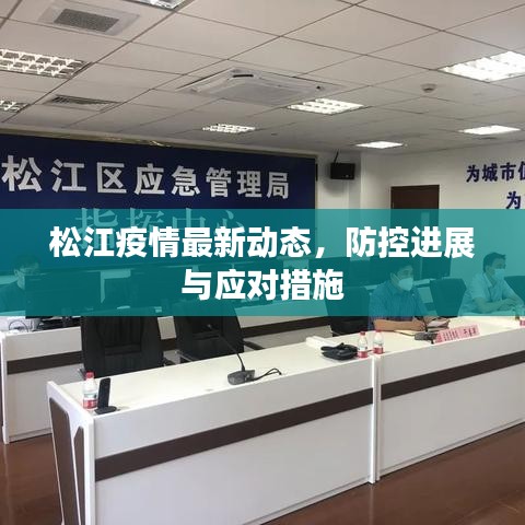 松江疫情最新动态，防控进展与应对措施