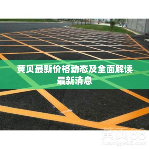 黄贝最新价格动态及全面解读最新消息
