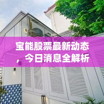 宝能股票最新动态，今日消息全解析