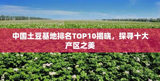 中国土豆基地排名TOP10揭晓，探寻十大产区之美