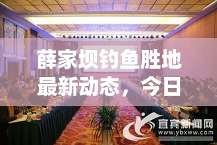 薛家坝钓鱼胜地最新动态，今日垂钓状况与可行性探讨