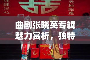 曲剧张晓英专辑魅力赏析，独特韵味，百度收录精彩呈现