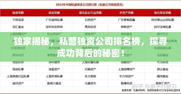 独家揭秘，私营独资公司排名榜，探寻成功背后的秘密！