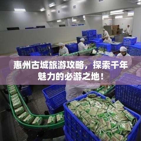 惠州古城旅游攻略，探索千年魅力的必游之地！