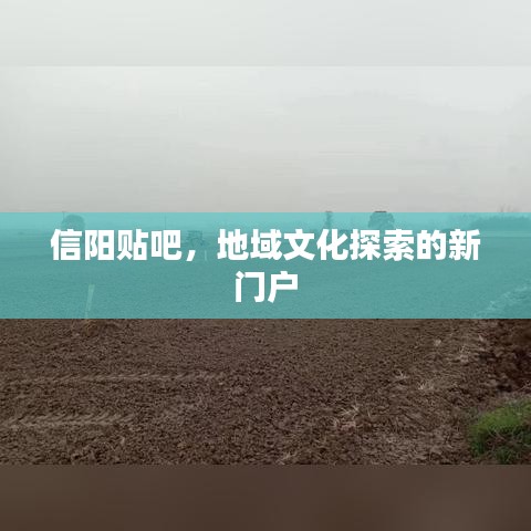 信阳贴吧，地域文化探索的新门户