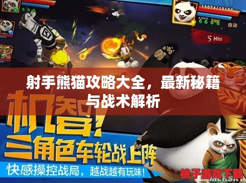 射手熊猫攻略大全，最新秘籍与战术解析