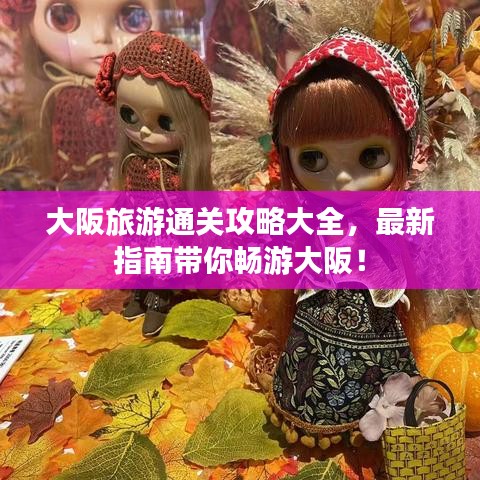 大阪旅游通关攻略大全，最新指南带你畅游大阪！