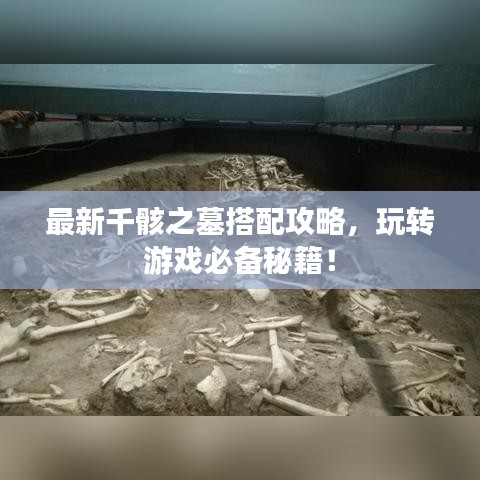 最新千骸之墓搭配攻略，玩转游戏必备秘籍！
