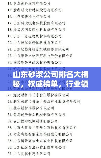 山东砂浆公司排名大揭秘，权威榜单，行业领先的优质企业！