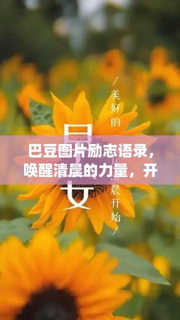 巴豆图片励志语录，唤醒清晨的力量，开启元气满满的一天！