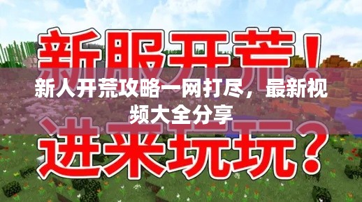 新人开荒攻略一网打尽，最新视频大全分享