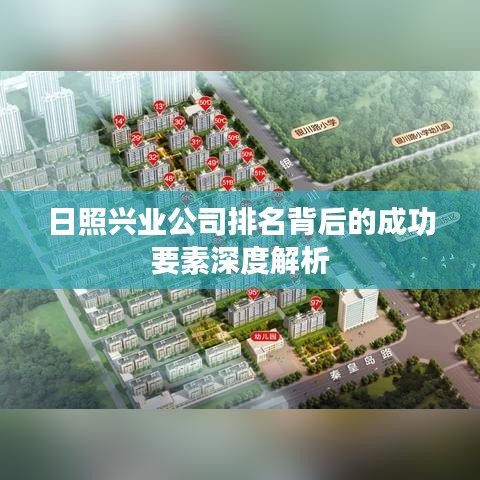 日照兴业公司排名背后的成功要素深度解析