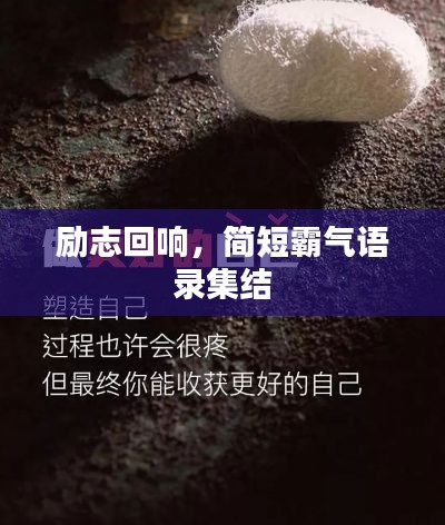 芒屩布衣 第2页