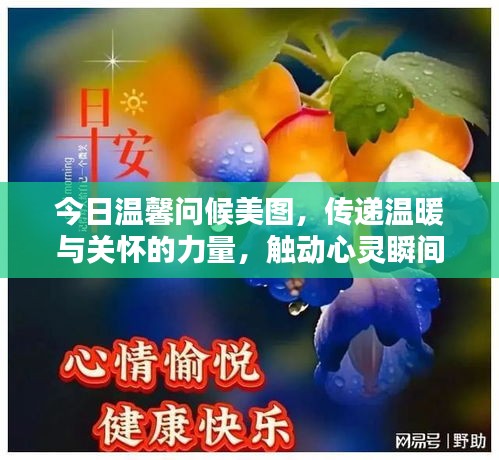 今日温馨问候美图，传递温暖与关怀的力量，触动心灵瞬间