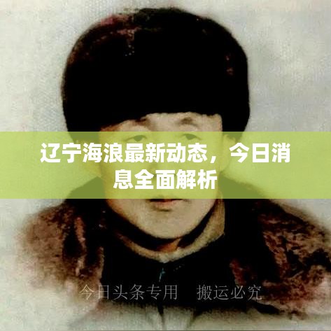 辽宁海浪最新动态，今日消息全面解析