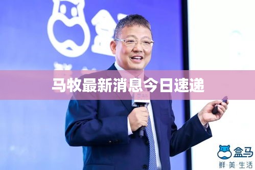 马牧最新消息今日速递