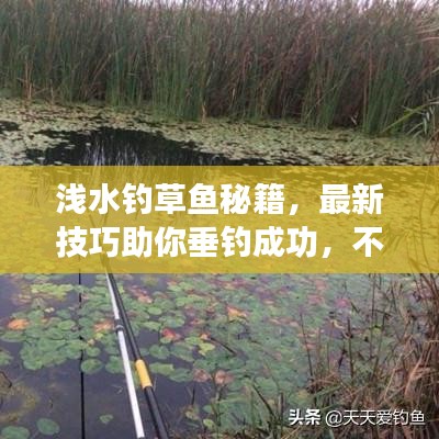 浅水钓草鱼秘籍，最新技巧助你垂钓成功，不容错过！