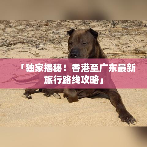 「独家揭秘！香港至广东最新旅行路线攻略」