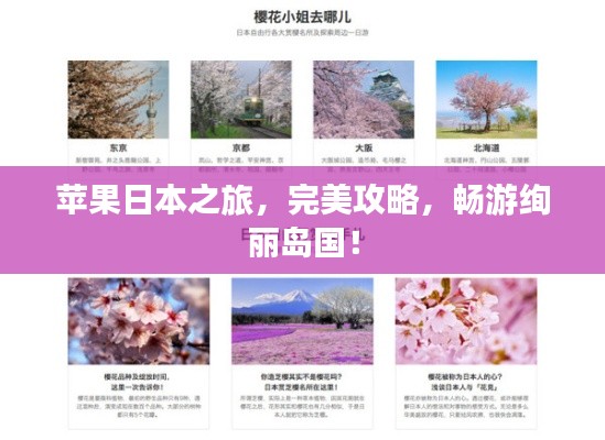苹果日本之旅，完美攻略，畅游绚丽岛国！