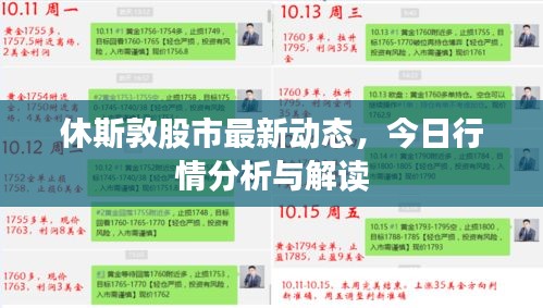 休斯敦股市最新动态，今日行情分析与解读