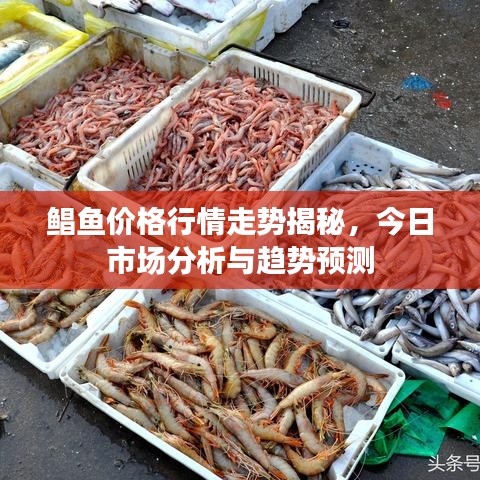 还醇返朴 第2页